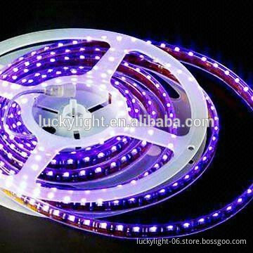 Wholesale cheap 5 meters per roll strip led